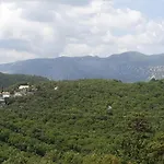 Hillside *